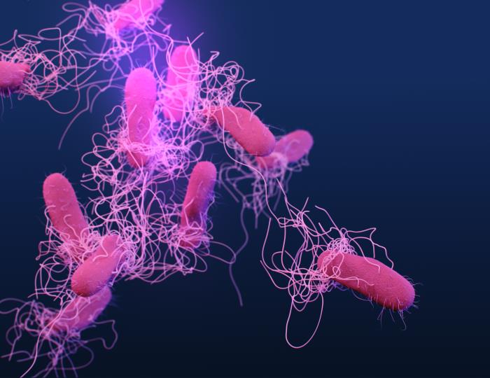 Multidrug-resistant Organisms Photo